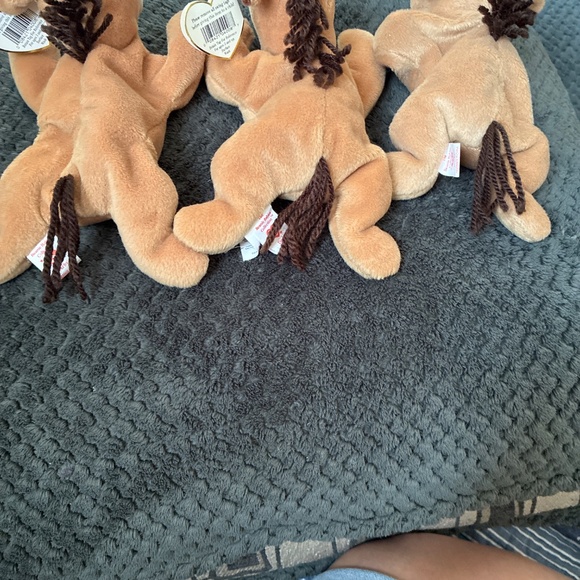 Derby beanie babies - Picture 5 of 7